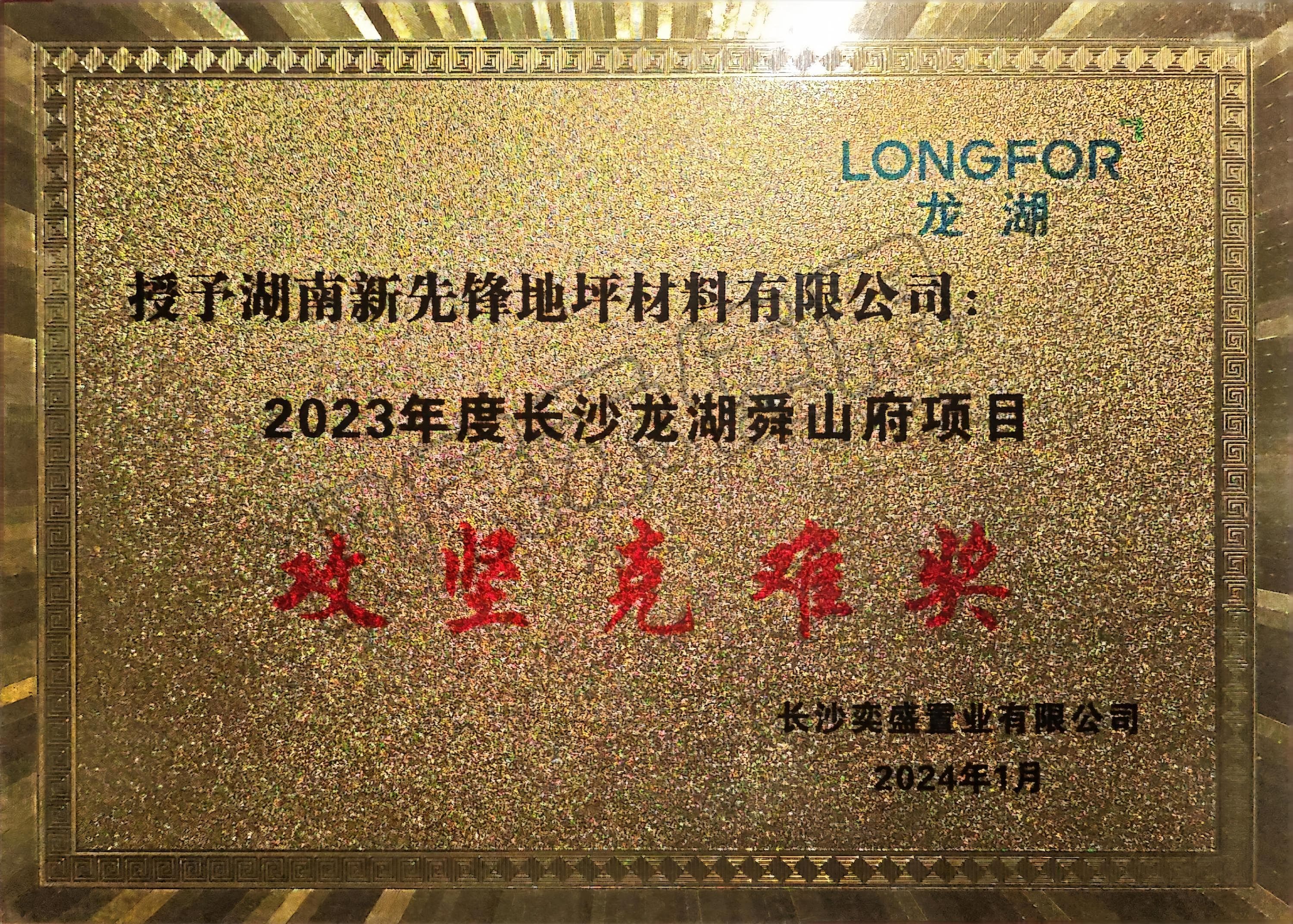 攻堅(jiān)克難獎(jiǎng)